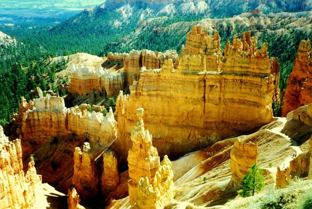 03_D07_BryceCanyonWebGross