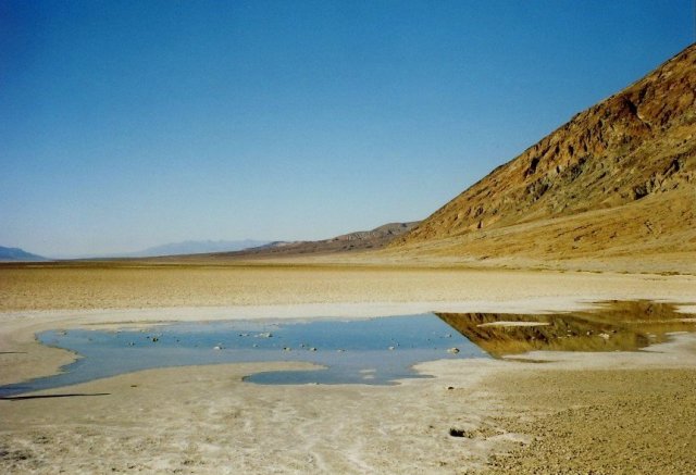 03_D09_DeathValleyWebGross