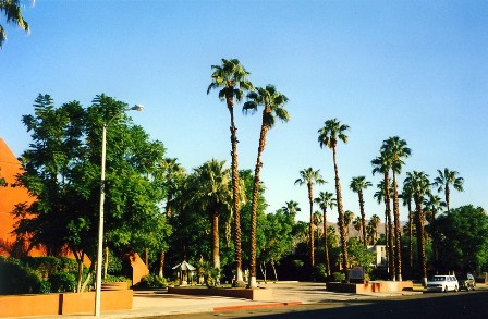 07_palmsprings1